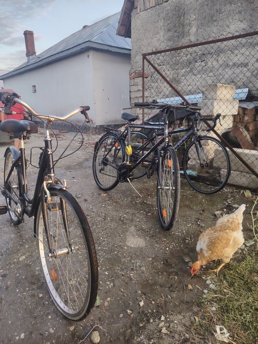 Vand biciclete bune