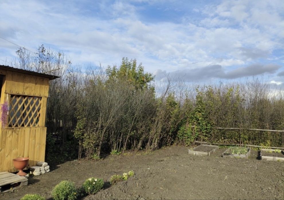 Продам дачу Вишенка