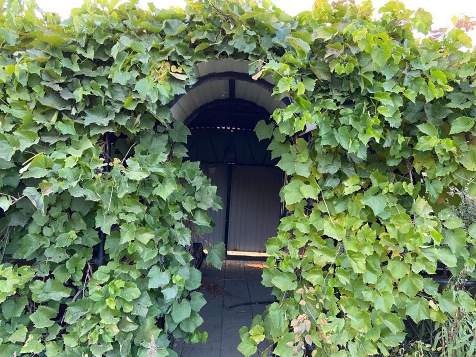 Коттедж в Курайли