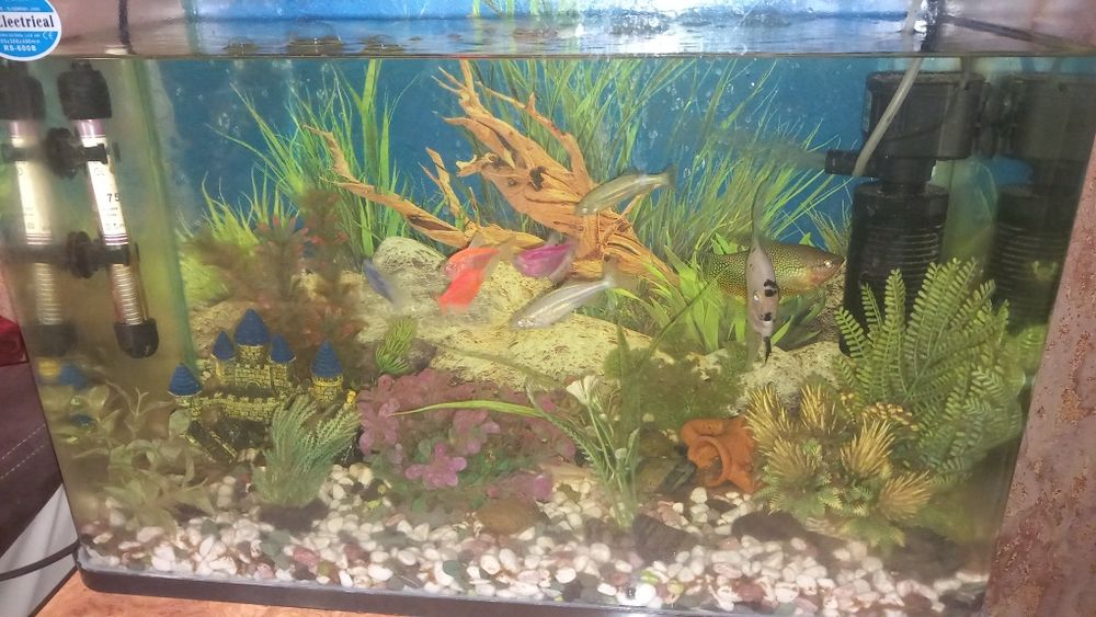 Аквариум RS-- 600В