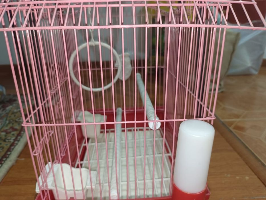 Клетки для попугаев в хорошем состоянии