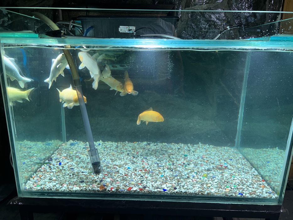Аквариум на 700 литров