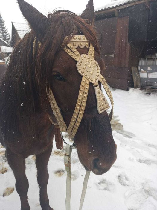 Продам уздечку наборную