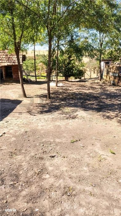 RECO Teren generos in Cetariu