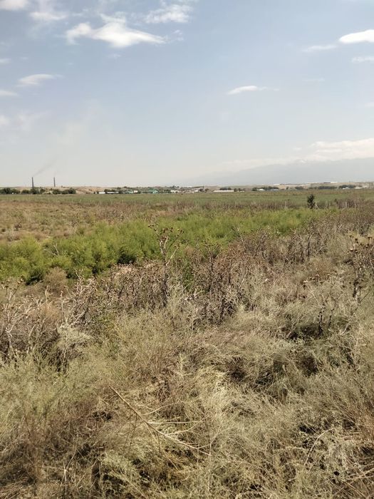 Участок 8 гектаров