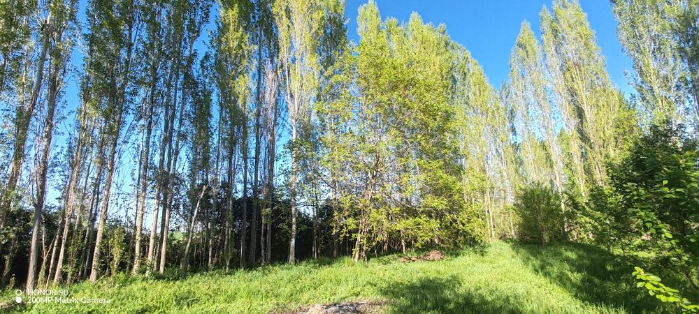 Teraklar sotamiz, kelishilgan narxda