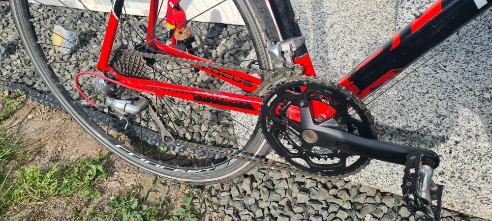 Bicicleta cursiera Focus Arriba cadru XL