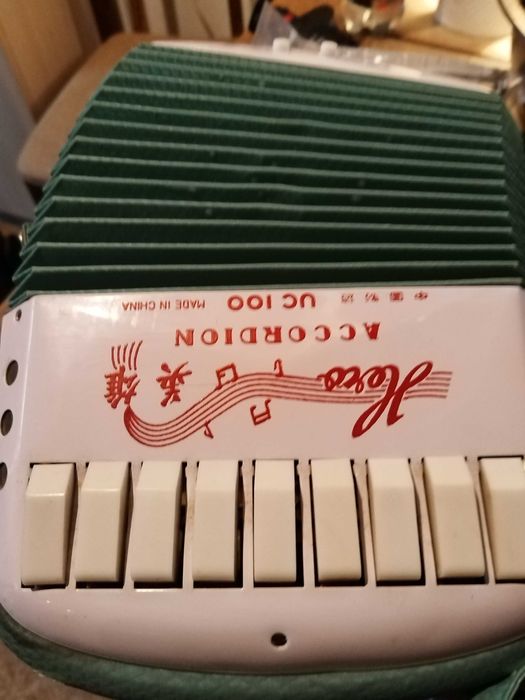Acordeon copii vechi uc100
