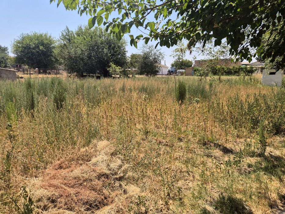 Уй сатылады бағасы 800000