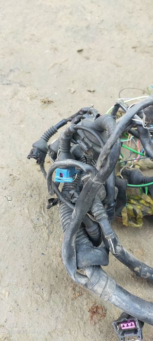 Коса провыт жағдай жақсы