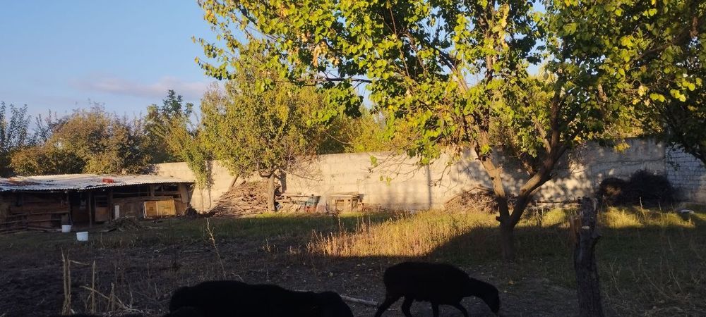 10 сотик ер 3 хона уйи билан сотилади,жуда су́лим жойда жойлашган