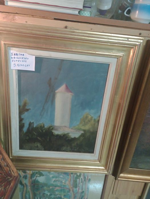 Tabloui.Sabina Negulescu Florian.Ileana Micodin.