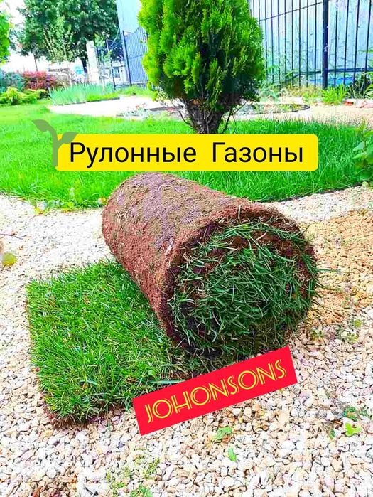 Газон рулонны на заказ и также ландшафтный дизайн