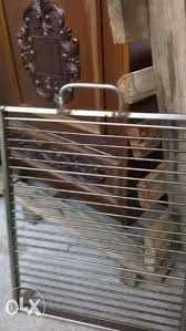 Valiza asezonare gratar