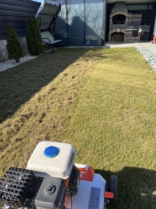 Amenajari Gradina Bacau