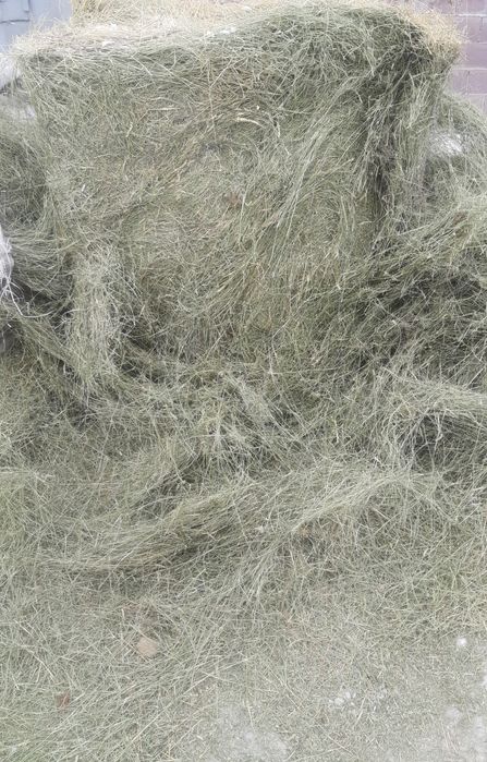 Сено рулон тюки  жетняк