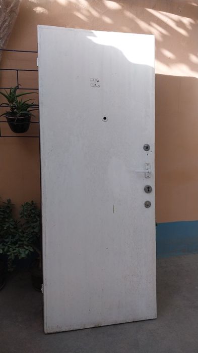 Двери   входные .