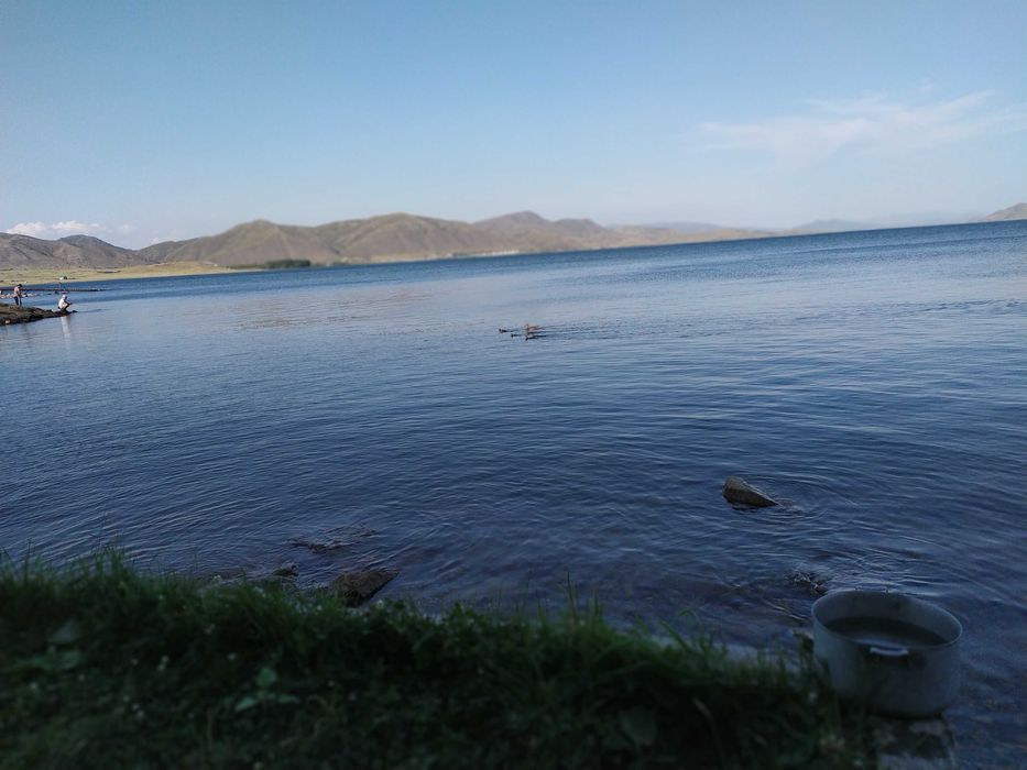 Участок с домиками на Бухтарме