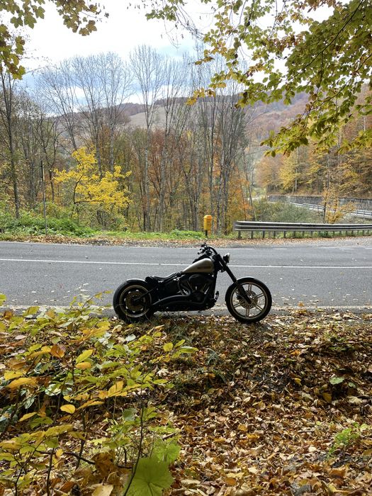 harley davidson  custom 2007