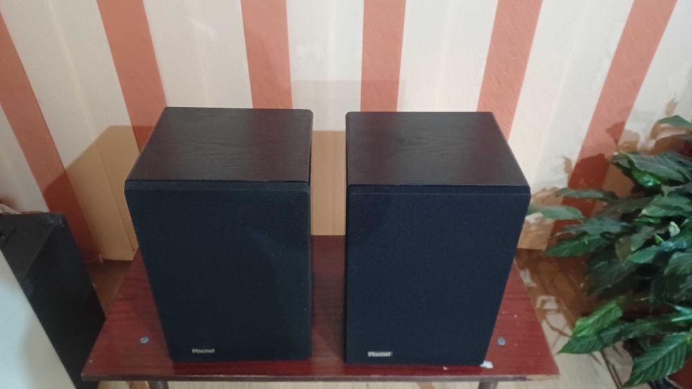 Boxe Magnat Mig-ribbon 3