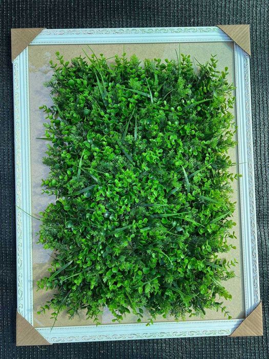 Фитостена в Ташкенте - Коврик на стену