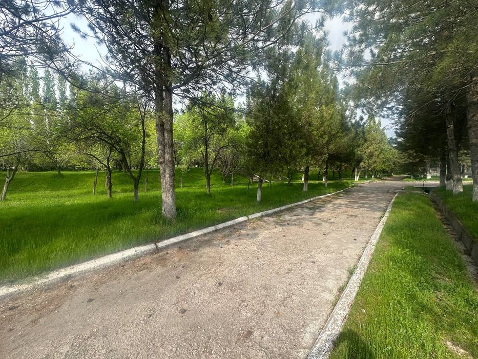 Земля Продается  5.5 Гектар