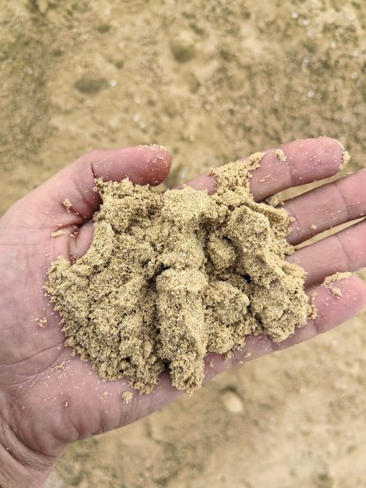 Пгс Қара киіз||Пгс Бейнеу