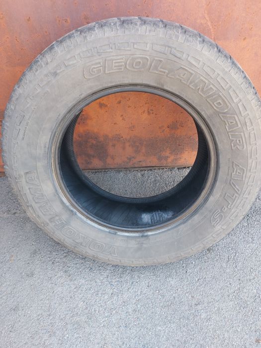 Шины всесезонные