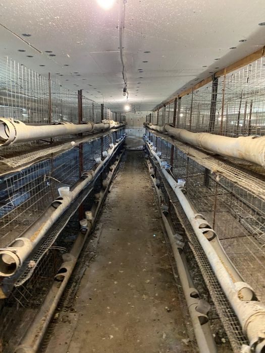 Продам клетки для курей на 2000 голов