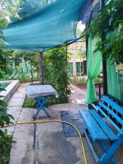 #Humsonda Dacha N1