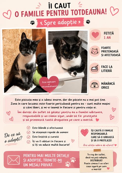 Oferim o pisiciuta spre adoptie