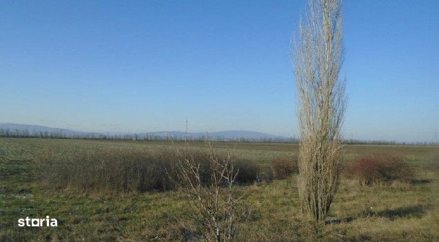 Teren extravilan cota parte 1/6 Odobesti, ID: R2878573