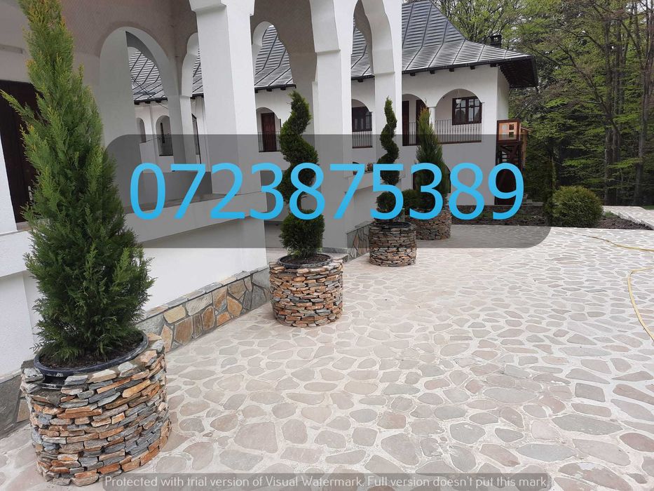 Soluția Definitivă pentru Alei și Garduri: Piatră Naturală de Munte