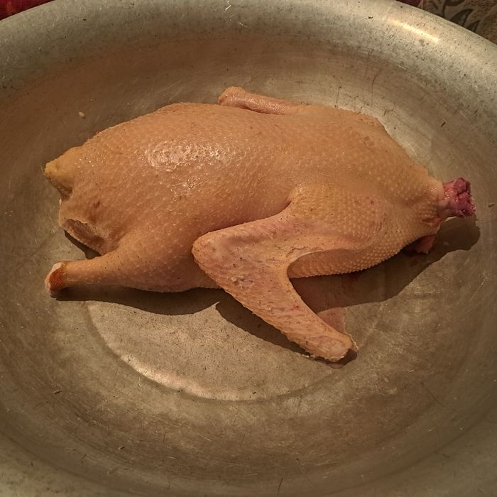 Продам домашних гусей и уток