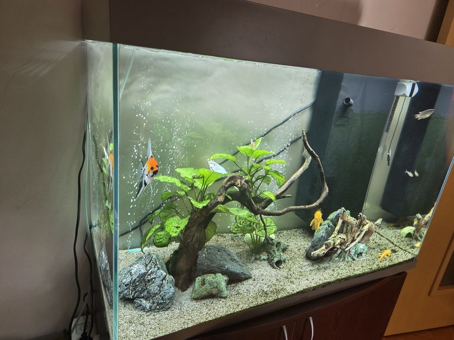 Аквариум CIANO 80 Pro