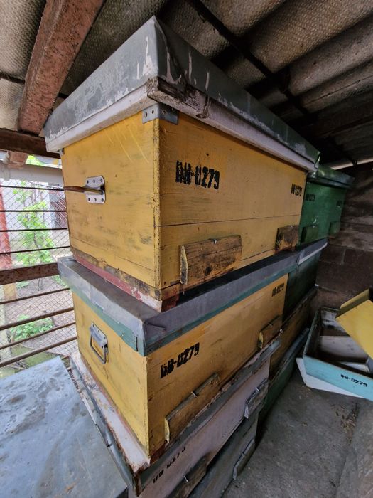 Vand stupi/rame/roinite/sistem crestere matci