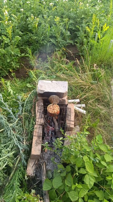 Сдам дачу сад Энтузиаст