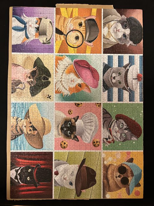 Puzzle 12 pisici cu palarii