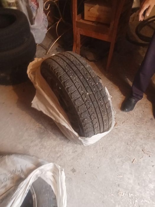 Triangle Штампованный диск резиной