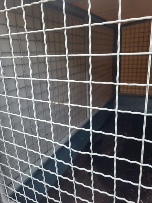 Ремарке за автомобил Стема 01 немско производство