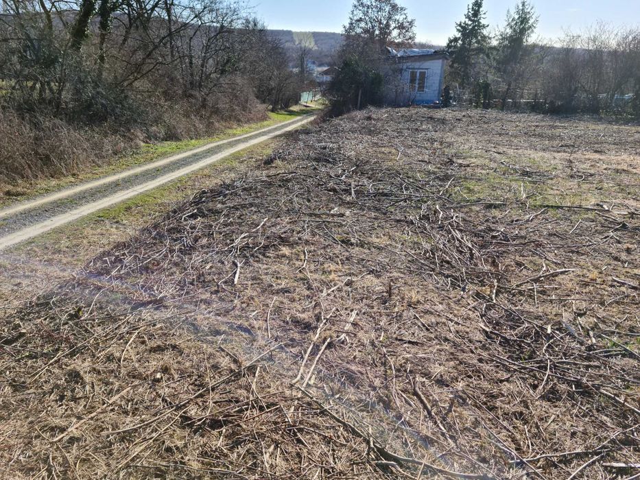 intravilan  viile satu mare front 15m