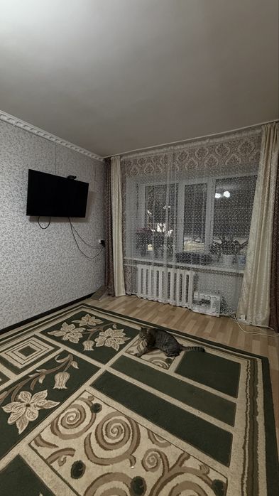 Продается 2-х Жазира