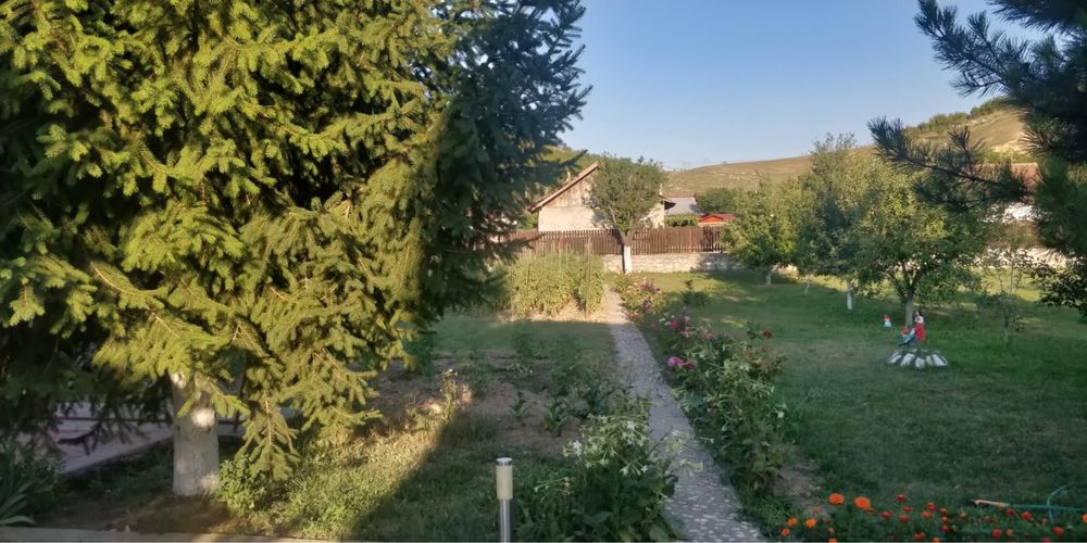 Casa de vanzare in sat Sipotele Constanta