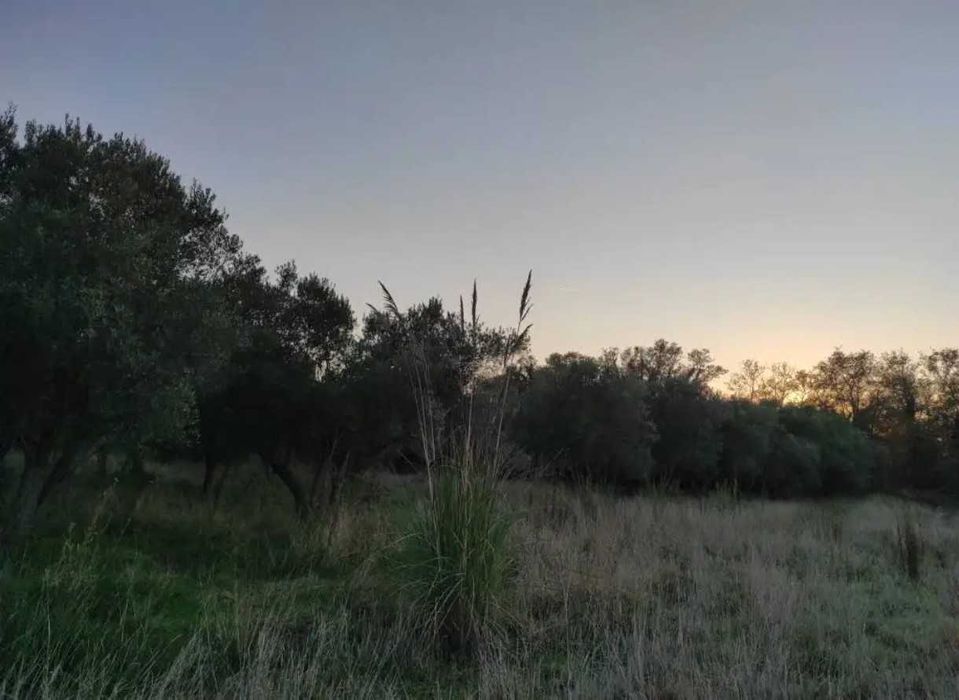 Парцел с гледка към Атон – Кумици на 650 м от морето