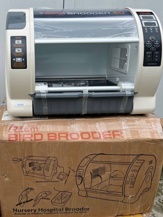 Inkubator va Bludur Original