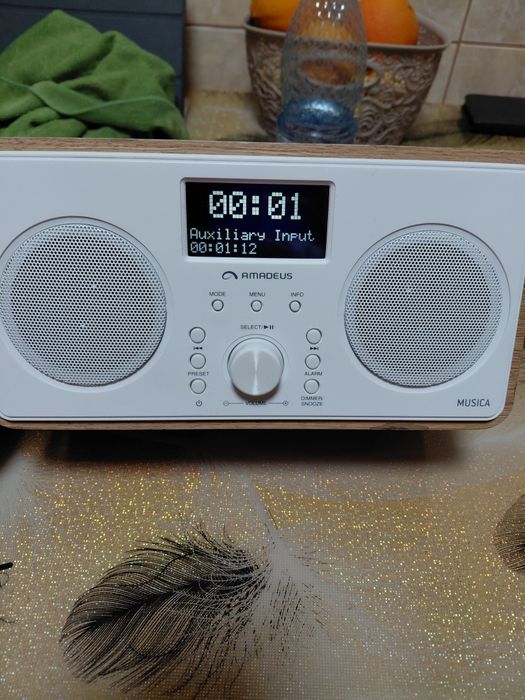 Vind radio cu bluetooth Amadeus Musica