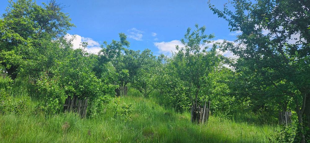 Teren Horodnic de Jos/Colnic cu vedere panoramica catre Radauti/Munti