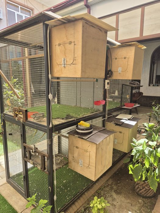 Тути кафаси ва тутилар сотилади.