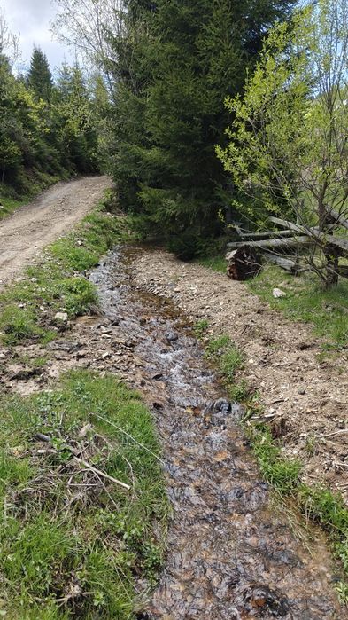 Vând teren intravilan in Baisoara
