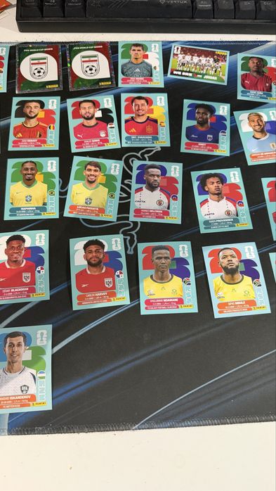Panini stickers.